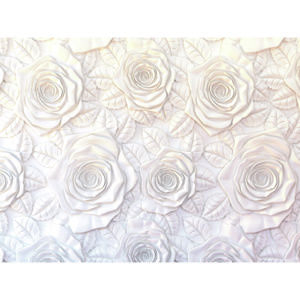 Fototapeta XXL 3D Roses 360 x 270 cm, 4 díly