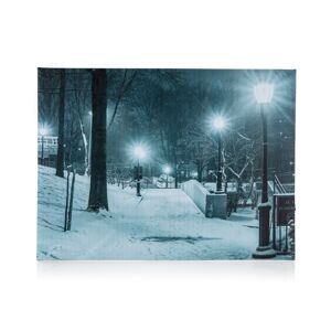 Home Decor LED Obraz na plátně Winter night, 40 x 30 cm