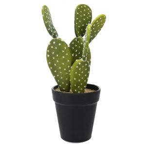 Koopman Umělý kaktus Cascabel, 10 cm