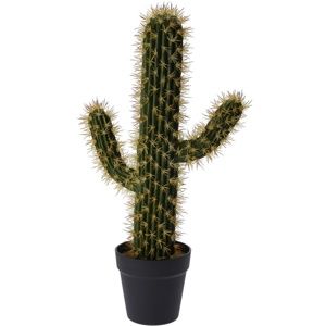 Koopman Umělý kaktus Safford, 54 cm