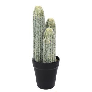 Koopman Umělý kaktus Steins, 10 cm