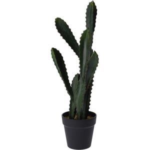 Koopman Umělý kaktus Willcox, 54 cm