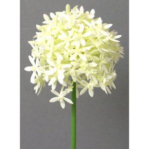 Umělá květina Česnek krémová, 64 cm