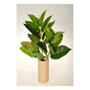 Umělá květina Ficus Elastica, 45 cm