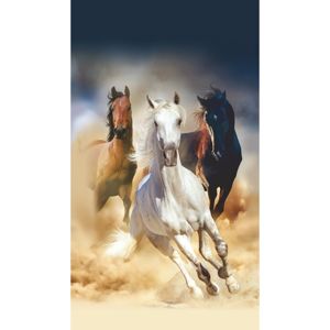 Vertikální fototapeta Horses, 90 x 202 cm